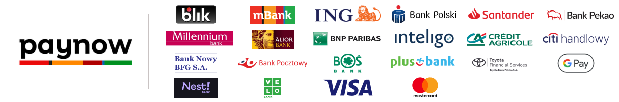 PayNow - obsługiwane metody płatności: BLIK, przelewy, karty Visa i Mastercard